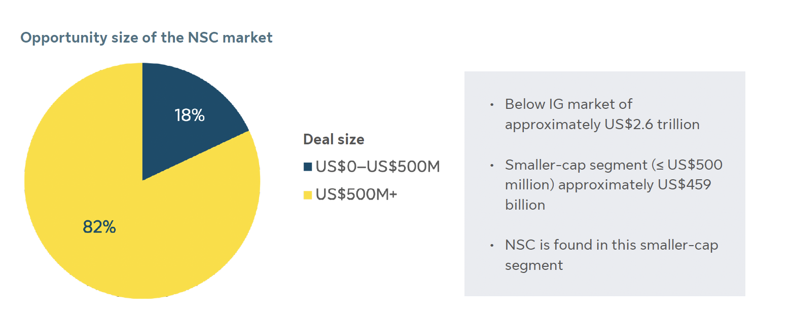 Opportunity size of the NSC market